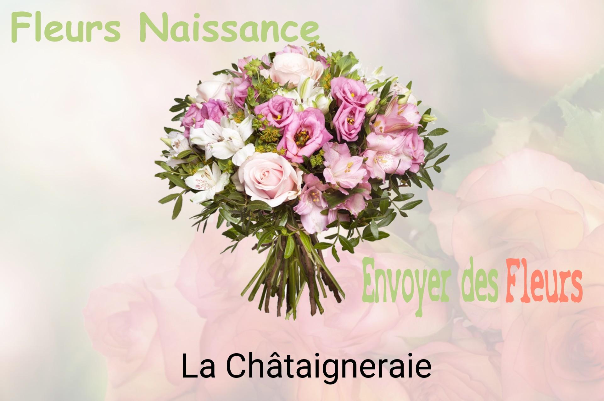 Bouquet de fleurs de naissance livré à La Châtaigneraie